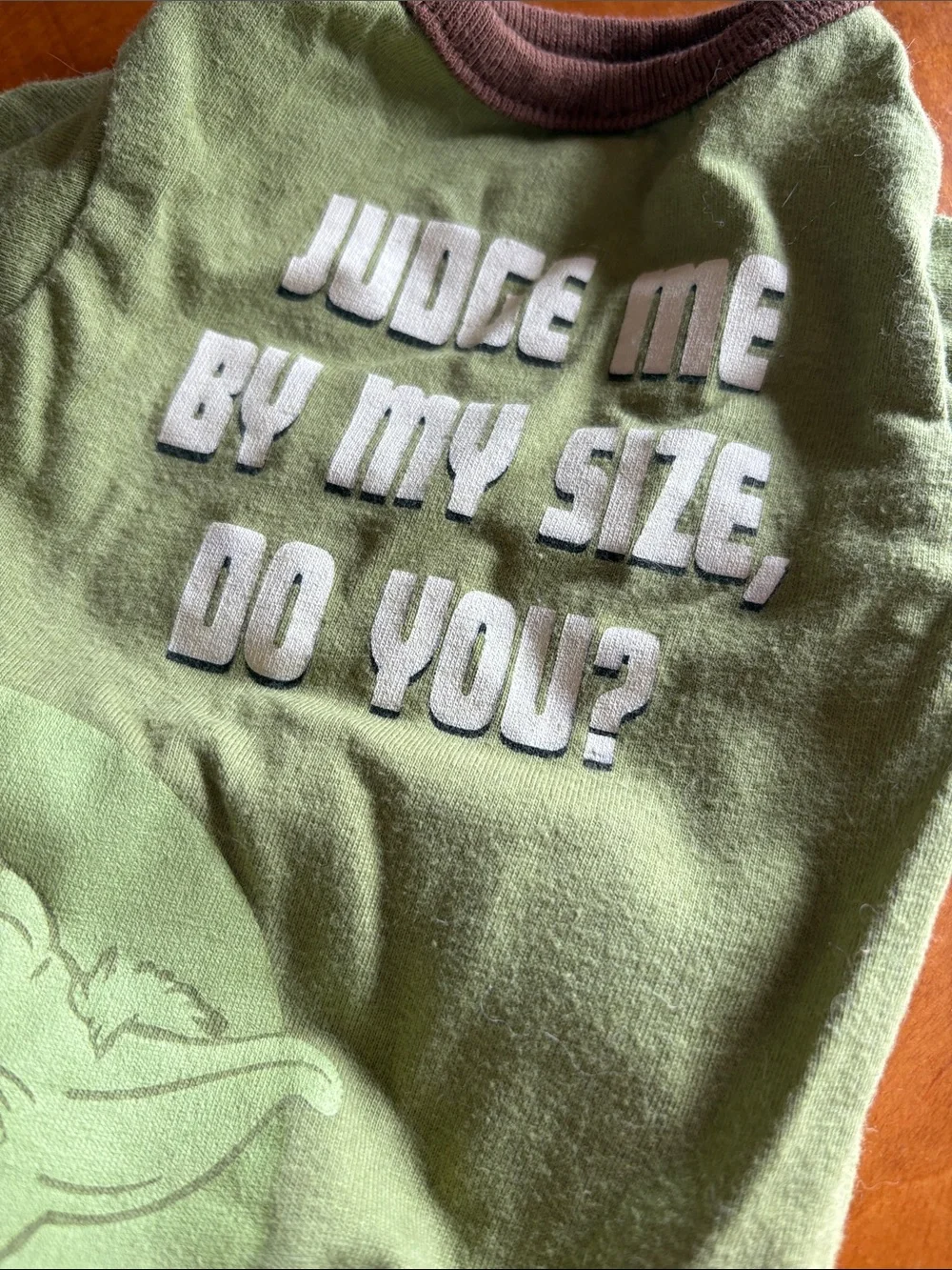 Dog shirts (xs/mini)
